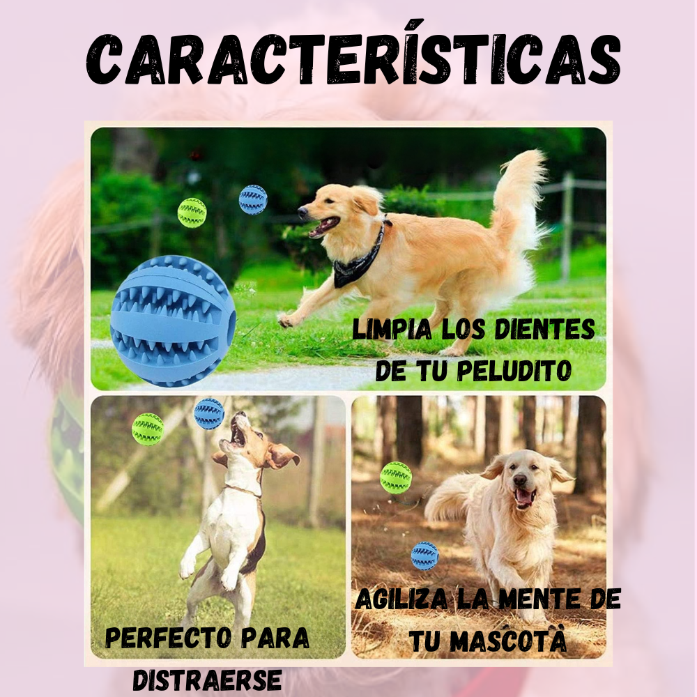 Pelota Masticable para Mascotas