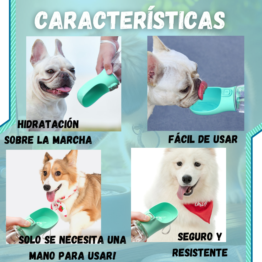 Porta Agua para Mascotas