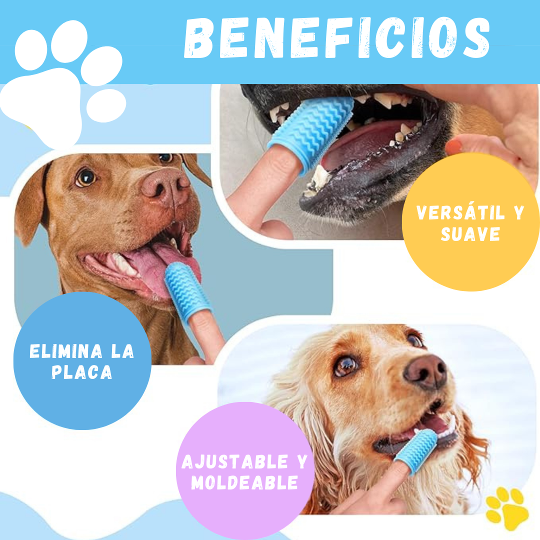 Cepillo dental mascotas