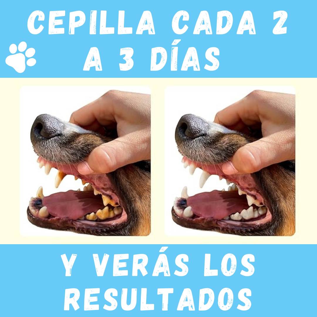 Cepillo dental mascotas