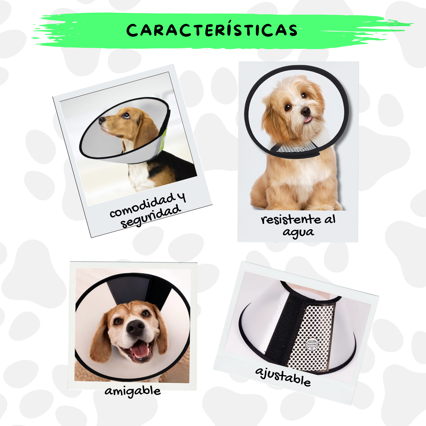Collar Isabelino
