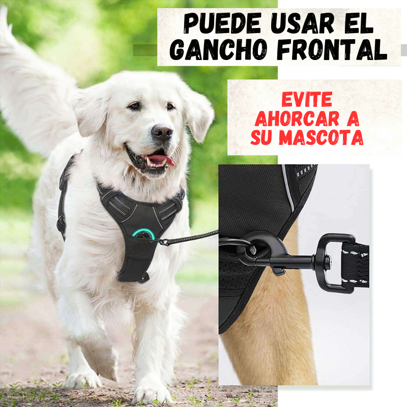 Pechera Táctica + Correa Elástica