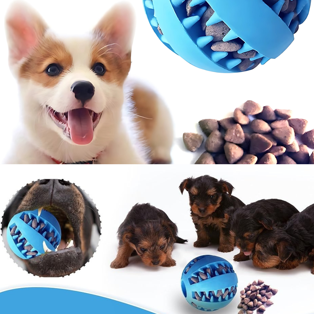 Pelota Masticable para Mascotas