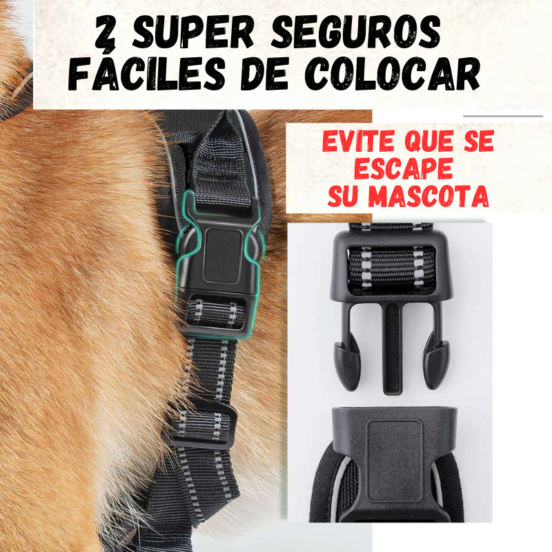 Pechera Táctica + Correa Elástica
