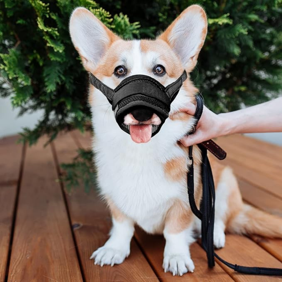 Bozal Ergonómico para Mascotas