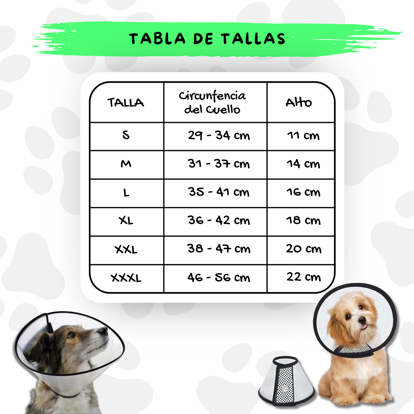 Collar Isabelino