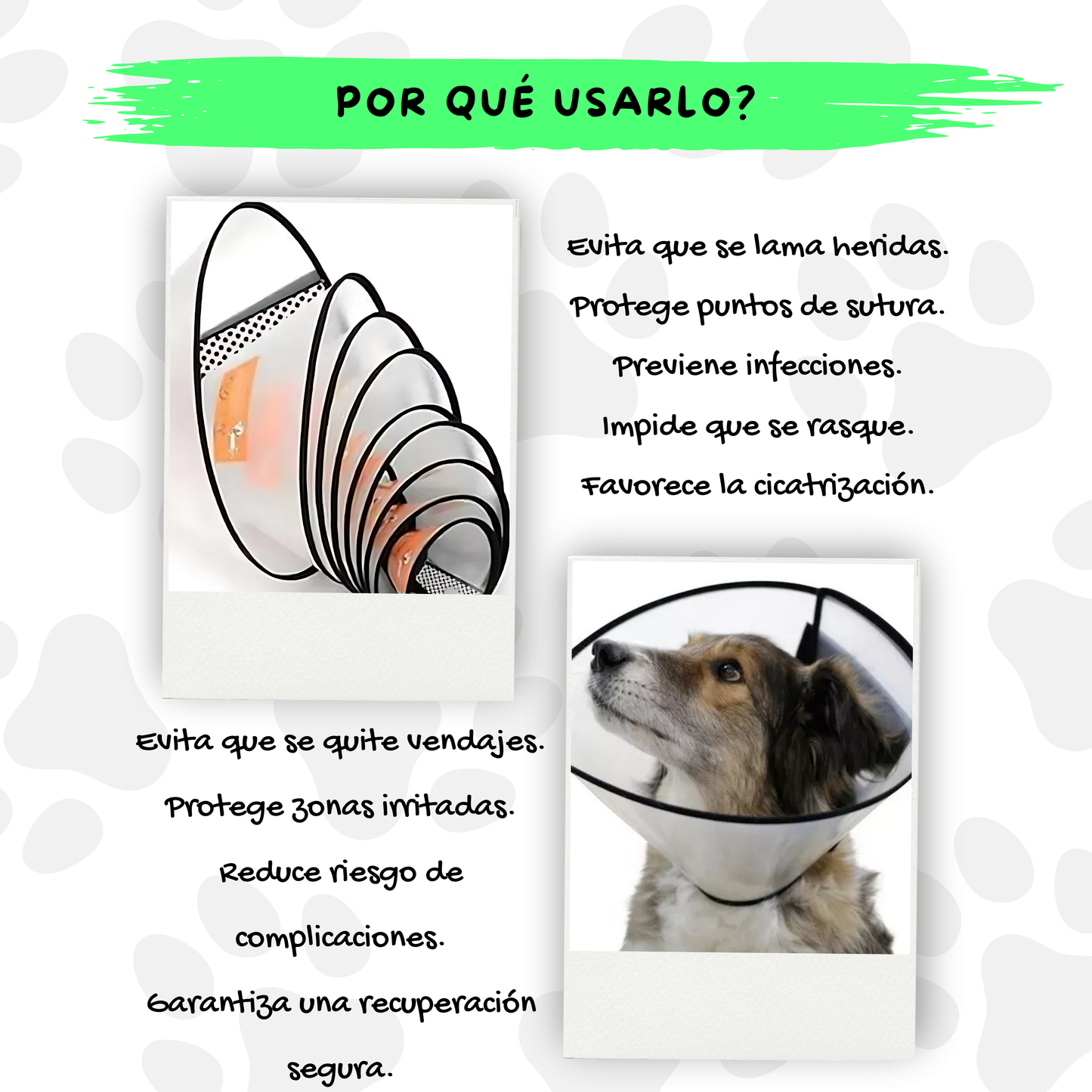 Collar Isabelino