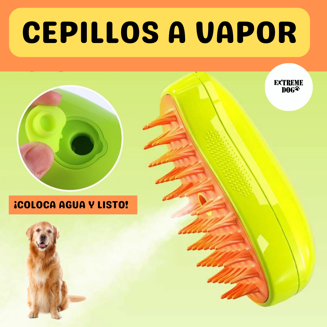 Cepillo a vapor