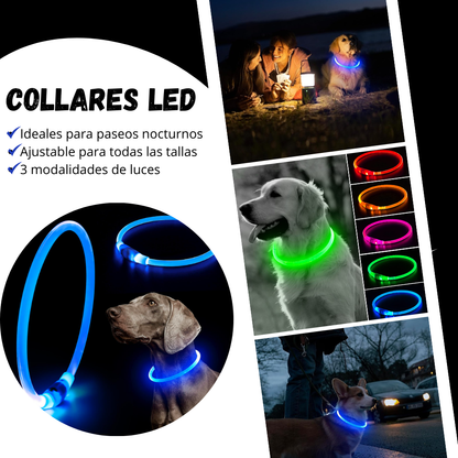 Collares Luz Led