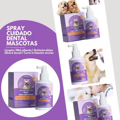 Spray dental mascotas