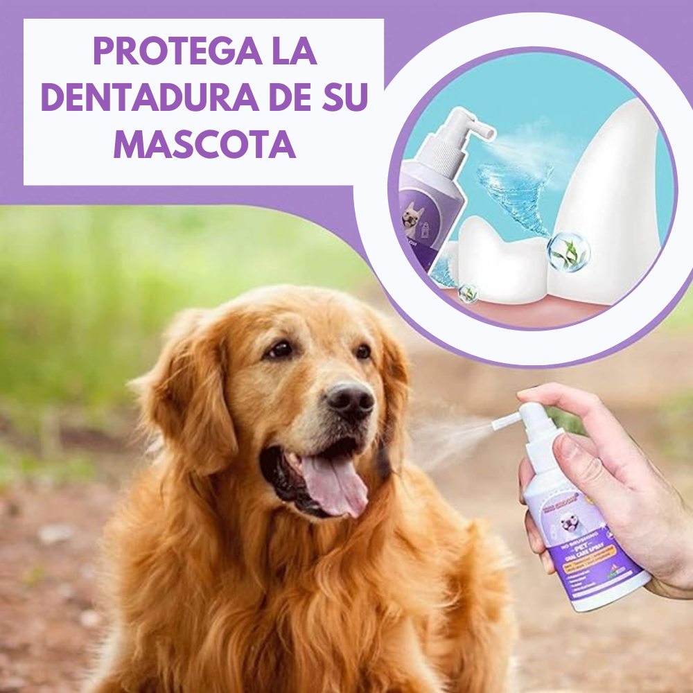 Spray dental mascotas