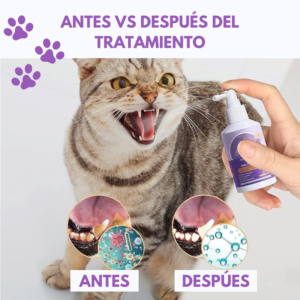 Spray dental mascotas