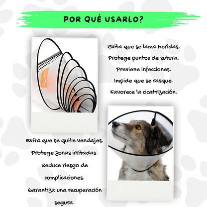 Collar Isabelino
